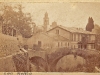p-roglio